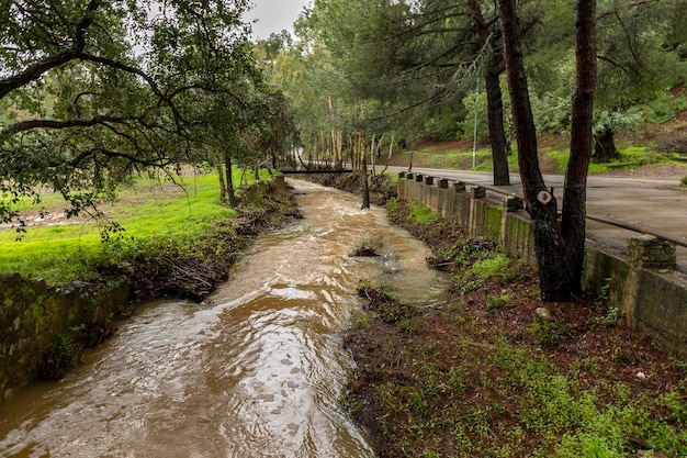 Chuvas fortes criam água marrom no rio