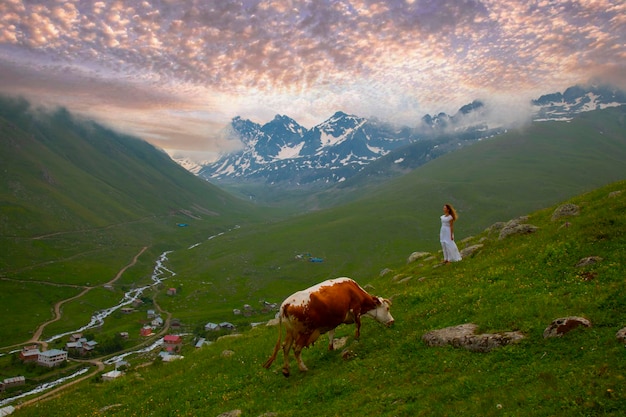 Cicekli-Plateau im Bezirk Camlihemsin in der Provinz Rize