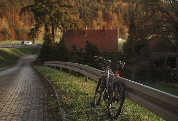 Ciclismo al aire libre durante la tarde de primavera Deporte y aventura en bicicleta de montaña Prado de hierba verde y bosque de pinos