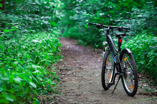 Ciclismo de montaña cuesta abajo descendiendo rápidamente en bicicleta. Vista desde los ojos de los ciclistas.