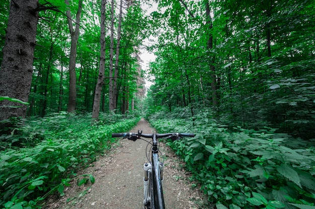 Ciclismo de montaña cuesta abajo descendiendo rápido en bicicleta. Vista desde los ojos de los motoristas.