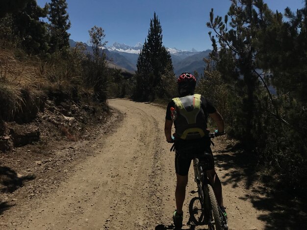 Ciclista al borde de un camino en el bosque