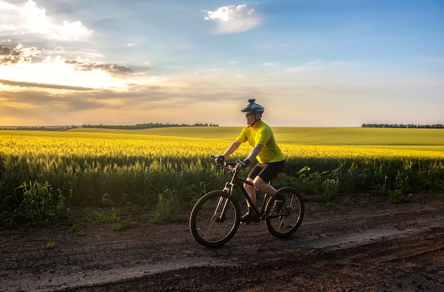 Ciclista em bicicleta ao longo dos campos de trigo ao sol