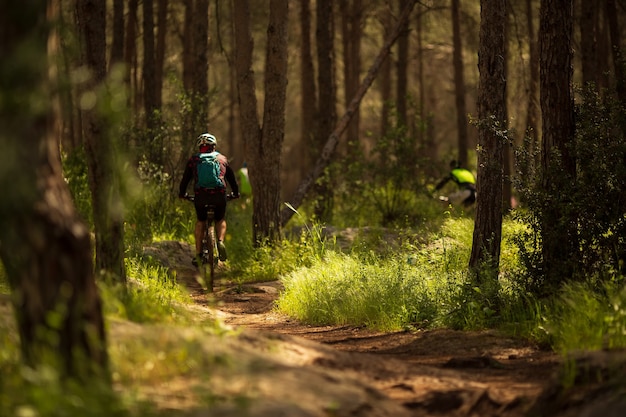 El ciclista de montaña atleta masculino monta una bicicleta a lo largo de un sendero forestal. Pista de ciclismo MTB enduro flow trail. Actividad deportiva al aire libre