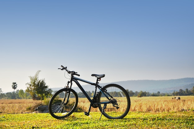 Ciclo, natural, ejercicio, tranquilo