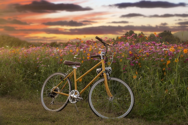 Ciclo vintage con jardín de flores.