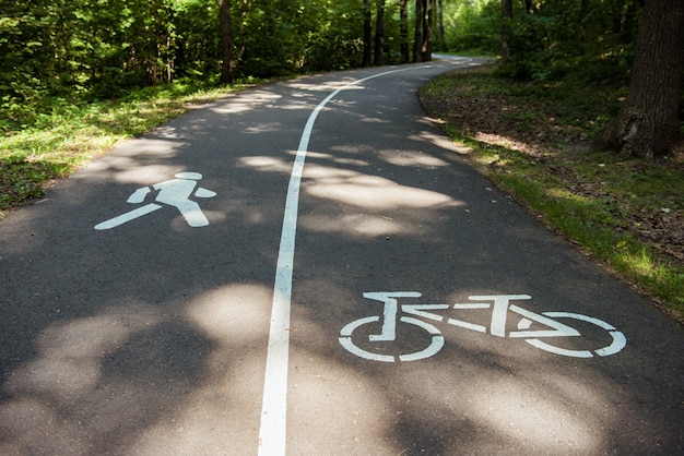 Ciclovia, ciclovia e sinais de pedestres no parque verde de verão. Conceito de descanso e relaxamento, exercício, estilo de vida saudável