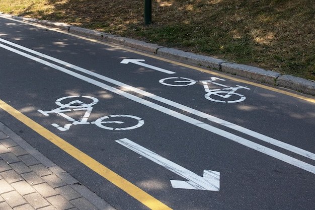 Ciclovia de duas pistas em um parque de verão