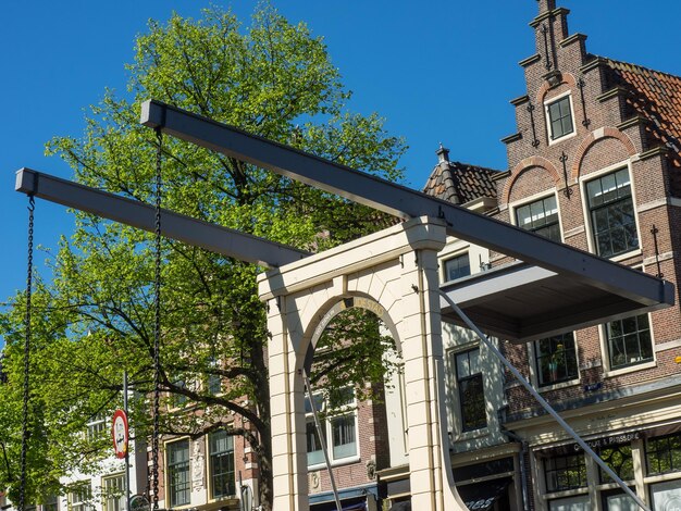 Foto cidade de alkmaar, na holanda