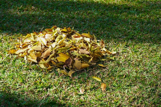 Cidade de folhagem seca e ambiente de território de parque coletado em montes durante a limpeza no outono Folhas caídas coletadas em pilha