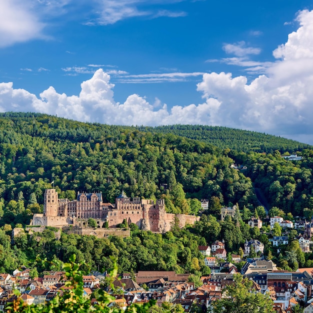 Cidade de Heidelberg no rio Neckar Alemanha