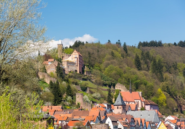 Cidade de Hirschhorn Hesse Alemanha