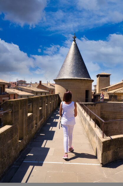 Cidade de Olite. navarra. Espanha