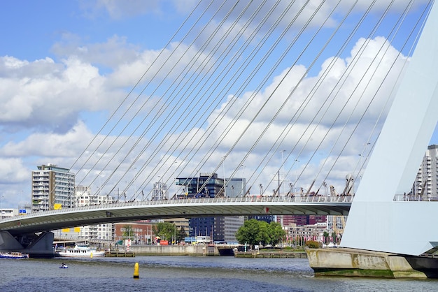 Cidade de Rotterdam nos Países Baixos na Holanda do Sul