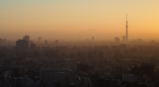 Cidade de tóquio e torre da árvore tokyo sky vista aérea da cidade de tóquio com o famoso destino turístico landma