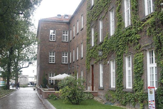 Cidade do Castelo de Wawel de Cracóvia Polônia