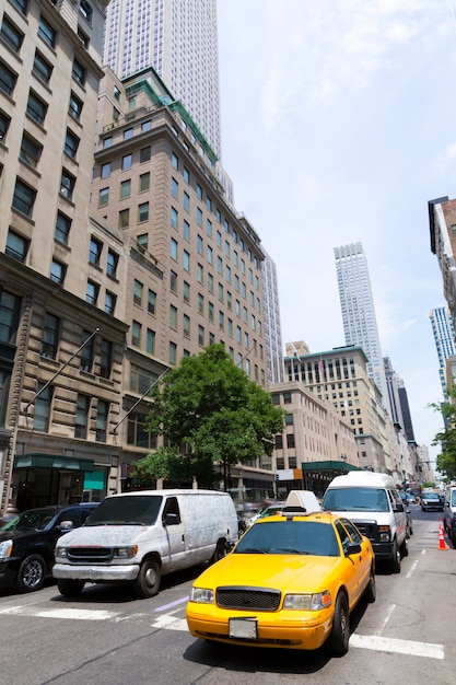 Cidade nova iorque, manhattan, quinta avenida, 5º, av, eua