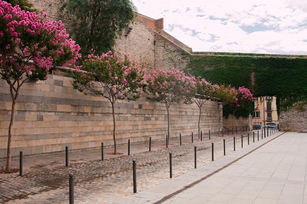 Cidade velha de girona espanha