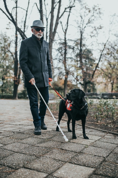 Ciego maduro con un largo bastón blanco caminando en el parque con su perro guía.