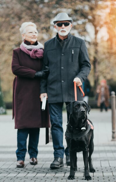 Ciego maduro con un largo bastón blanco y su esposa caminando con su perro guía.