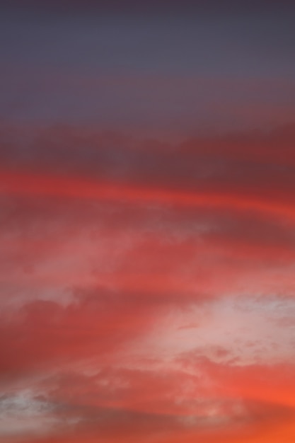 Foto cielo al atardecer. marco vertical. foto de alta calidad