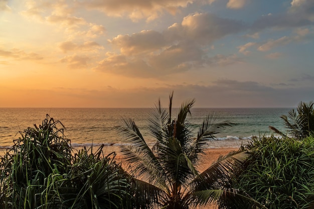 Cielo al atardecer con nubes, vista en la playa del océano