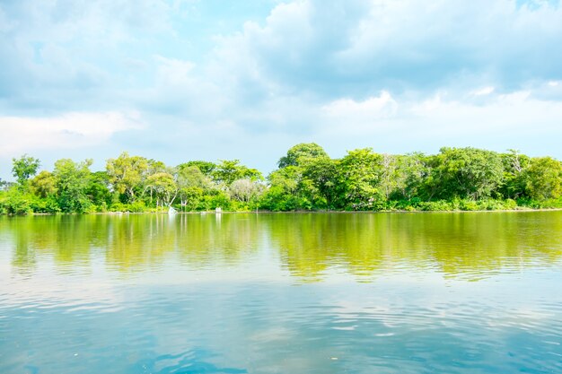 cielo y árboles verdes en el lago