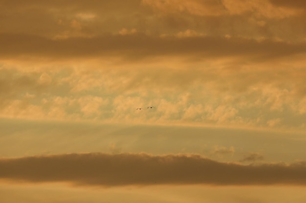 cielo ardiente como fondo de patrón. puesta de sol con nubes. horizonte