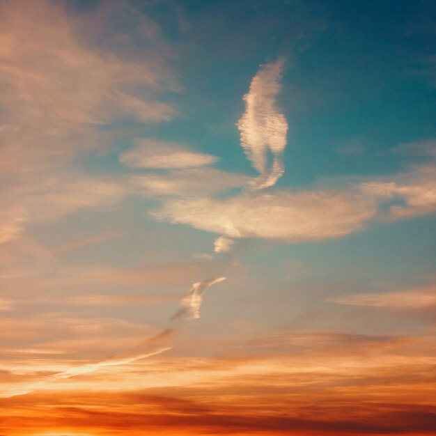 Cielo del atardecer con hermosas nubes