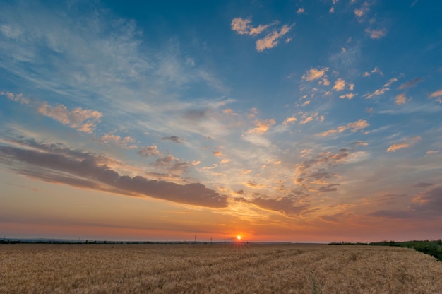 Cielo del atardecer sobre el campo de trigo