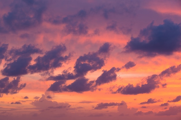 cielo del atardecer