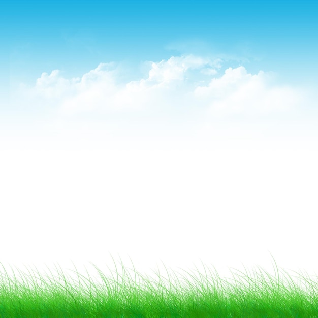Cielo azul y campo verde