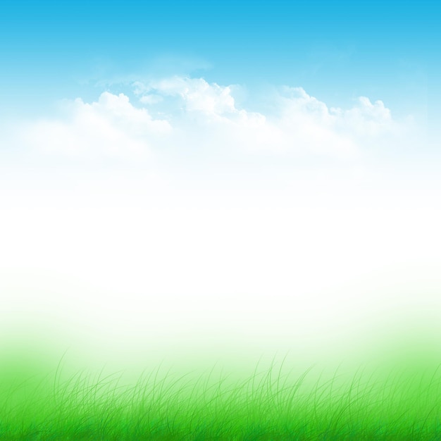 Cielo azul y campo verde