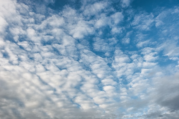 Cielo azul con cirrocúmulos