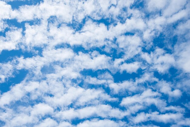 Cielo azul creativo y fondo de nubes blancas