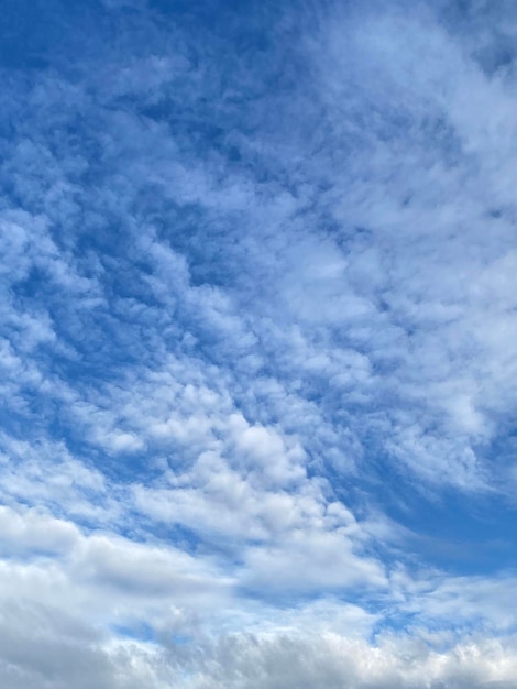 Cielo azul y fondo de nubes blancas