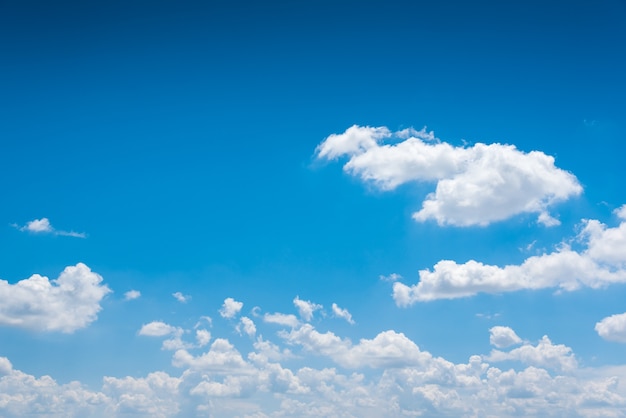 Foto cielo azul de fondo.