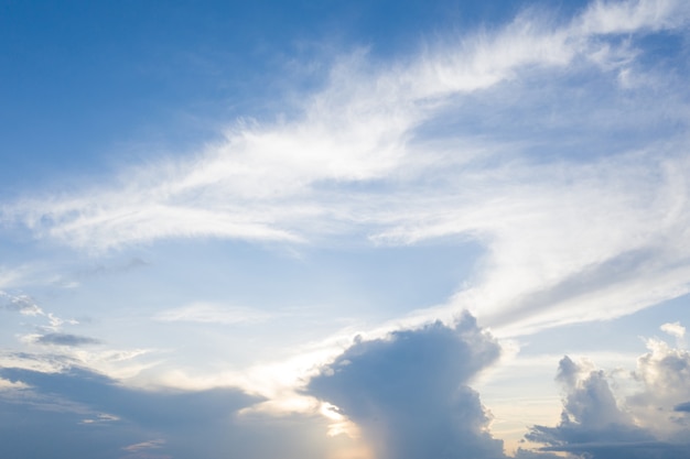 Cielo azul y nube con árbol de pradera.