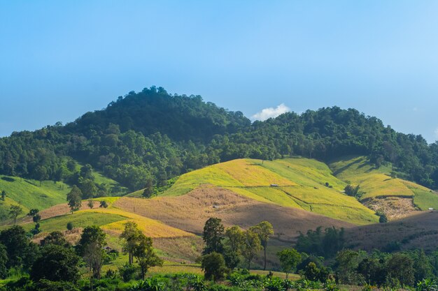 Cielo azul y nube de la montaña en Chiang Rai. Tailandia