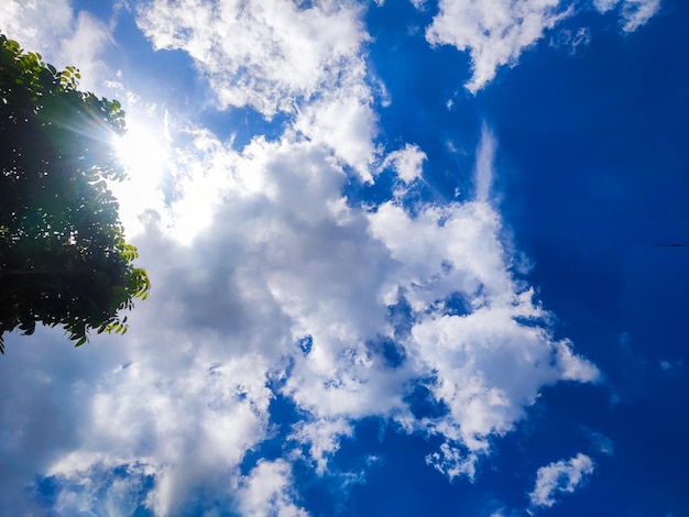 Un cielo azul con nubes y un árbol en primer plano