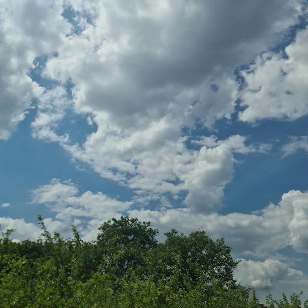 Un cielo azul con nubes y árboles.