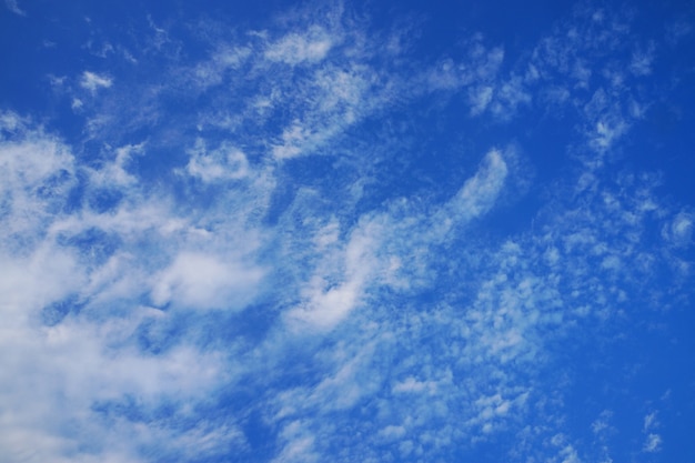 Foto cielo azul con nubes blancas