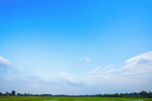 Cielo azul con nubes blancas.