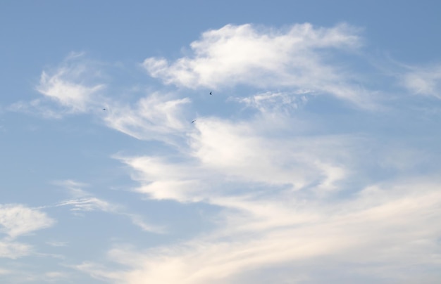 Cielo azul con nubes blancas