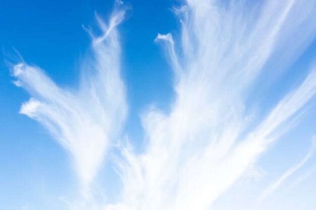 Cielo azul con nubes blancas