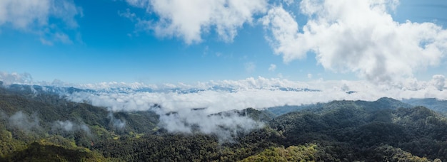 Cielo azul con nubes bosque verde por la mañana