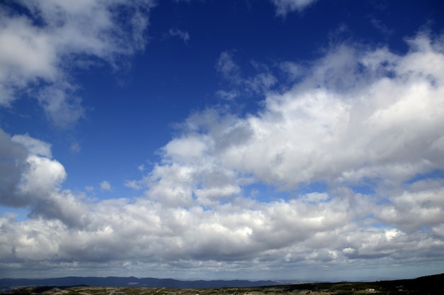 Foto cielo en azul con nubes durante el día