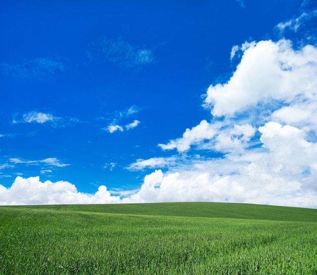 Cielo azul con nubes diminutas sobre campo verde