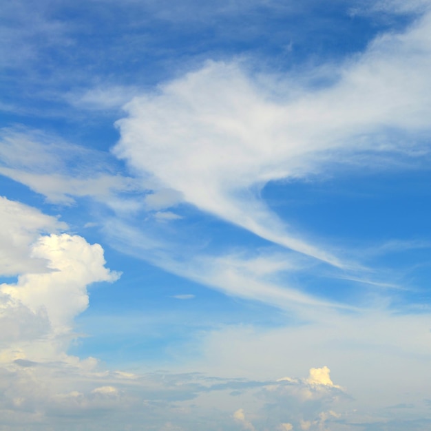 El cielo azul y las nubes mullidas blancas