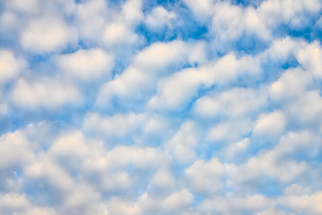 El cielo azul y las nubes mullidas blancas